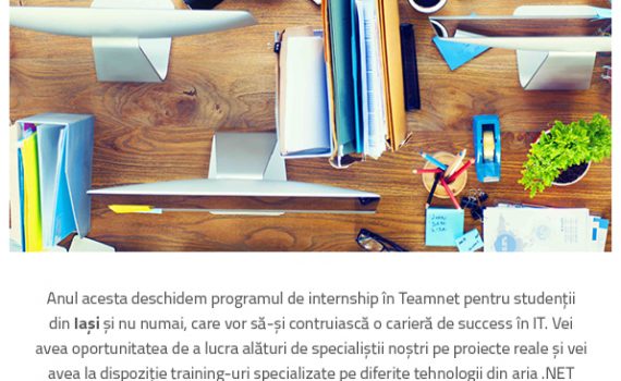Teamnet Internship